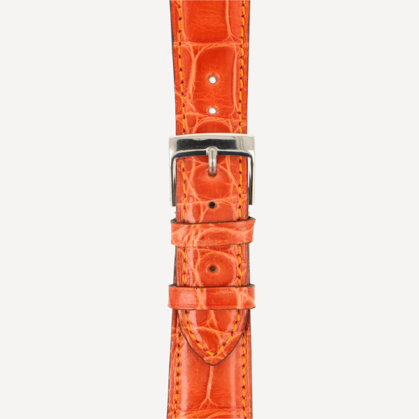  Alligator Classic Full Cut Brillant bombé