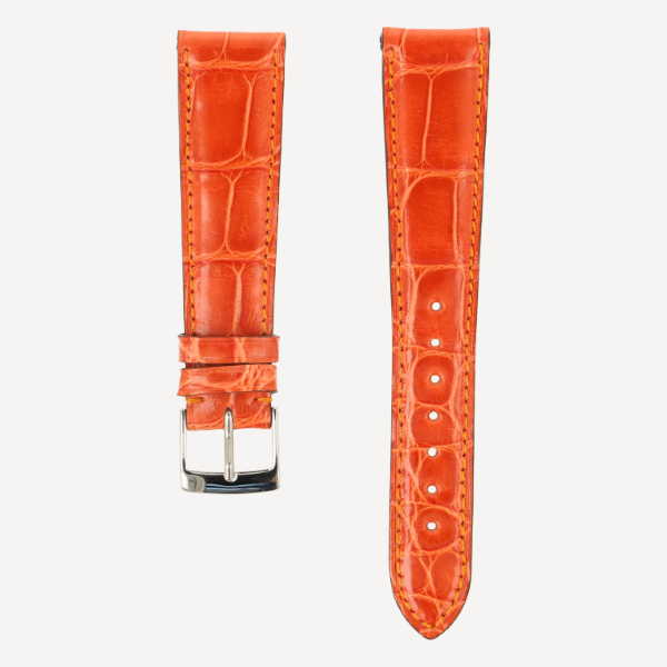  Alligator Classic Full Cut Brillant bombé