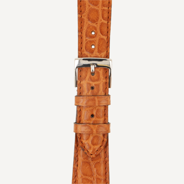  Alligator Classic Pearls matt