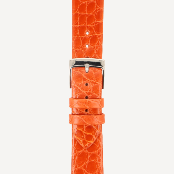 orange (No. 42)