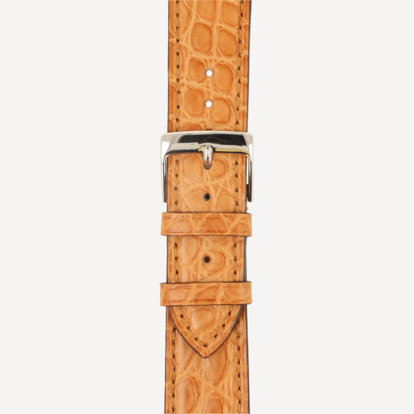 safari (No. 55)