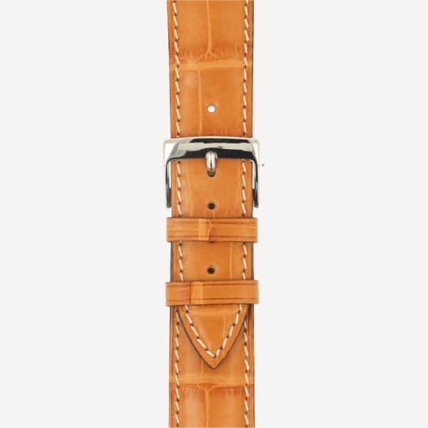 safari (No. 55)