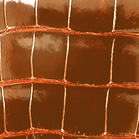 Alligator Full Cut Brillant