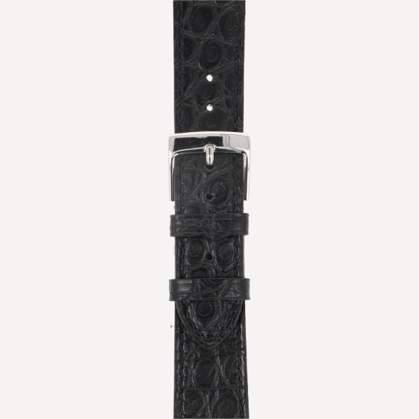 schwarz (No. 50)