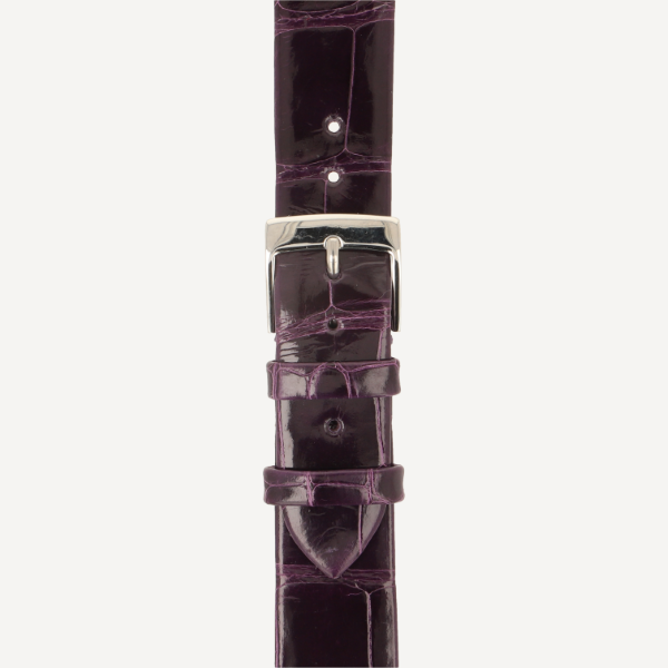 viola (No. 24)