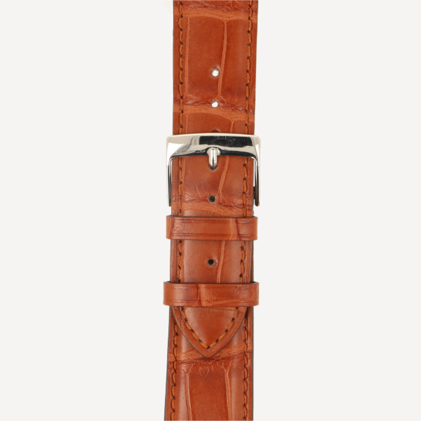 Alligator Classic Full Cut Matt 
