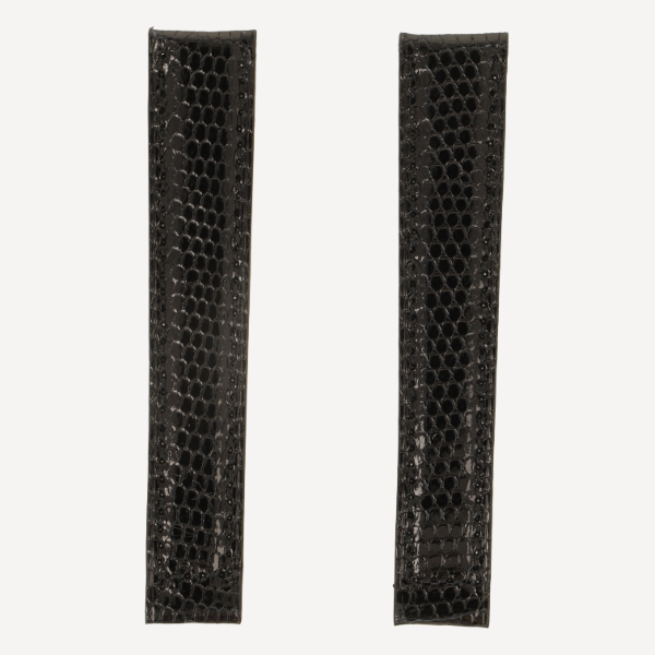 Deployante 2 Eidechse Deployante 2 Eidechse