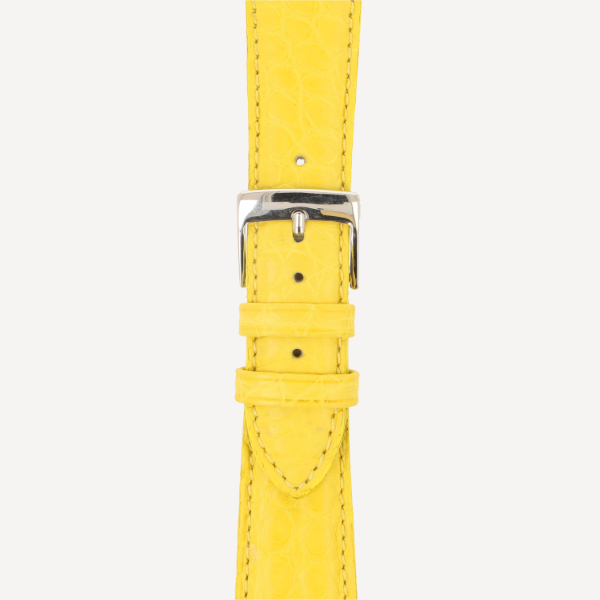 tournesol (No. 104)