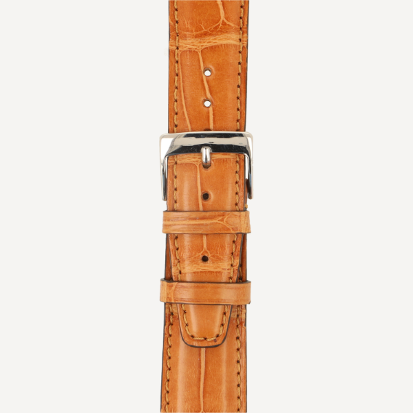 safari (No. 55)