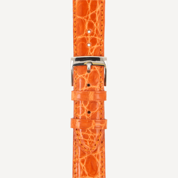 orange (No. 42)