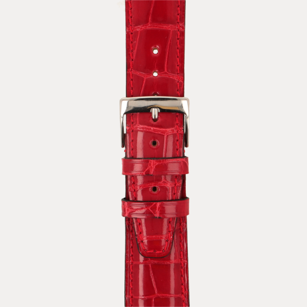 SCE Alligator Full Cut Brillant