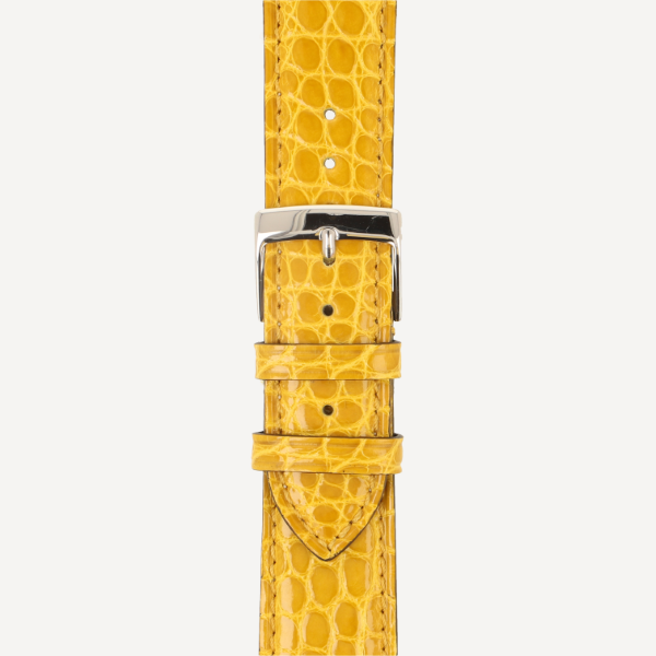  Alligator Classic Pearls Brillant